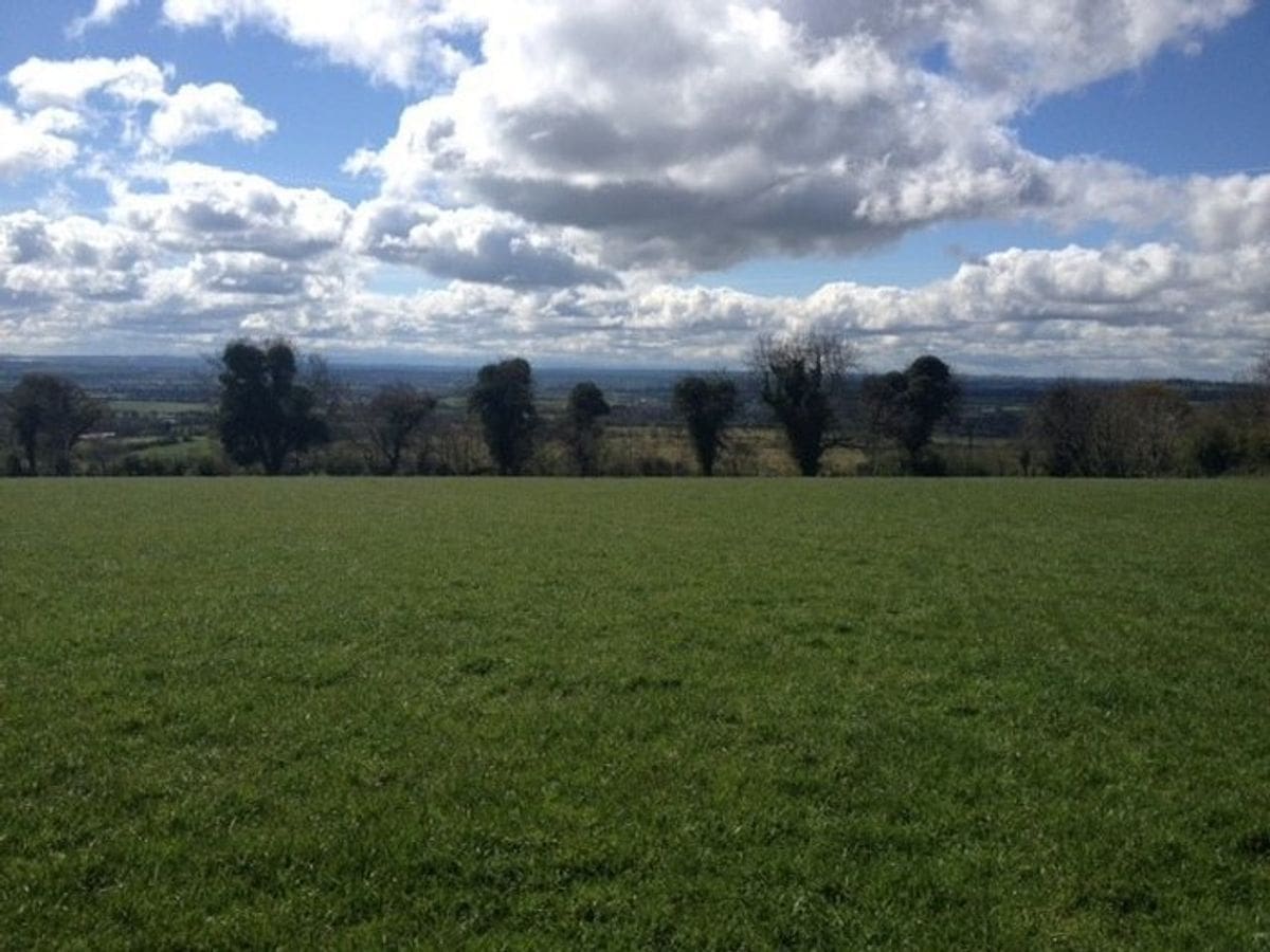Broomfield Road, Collon, Co. Louth